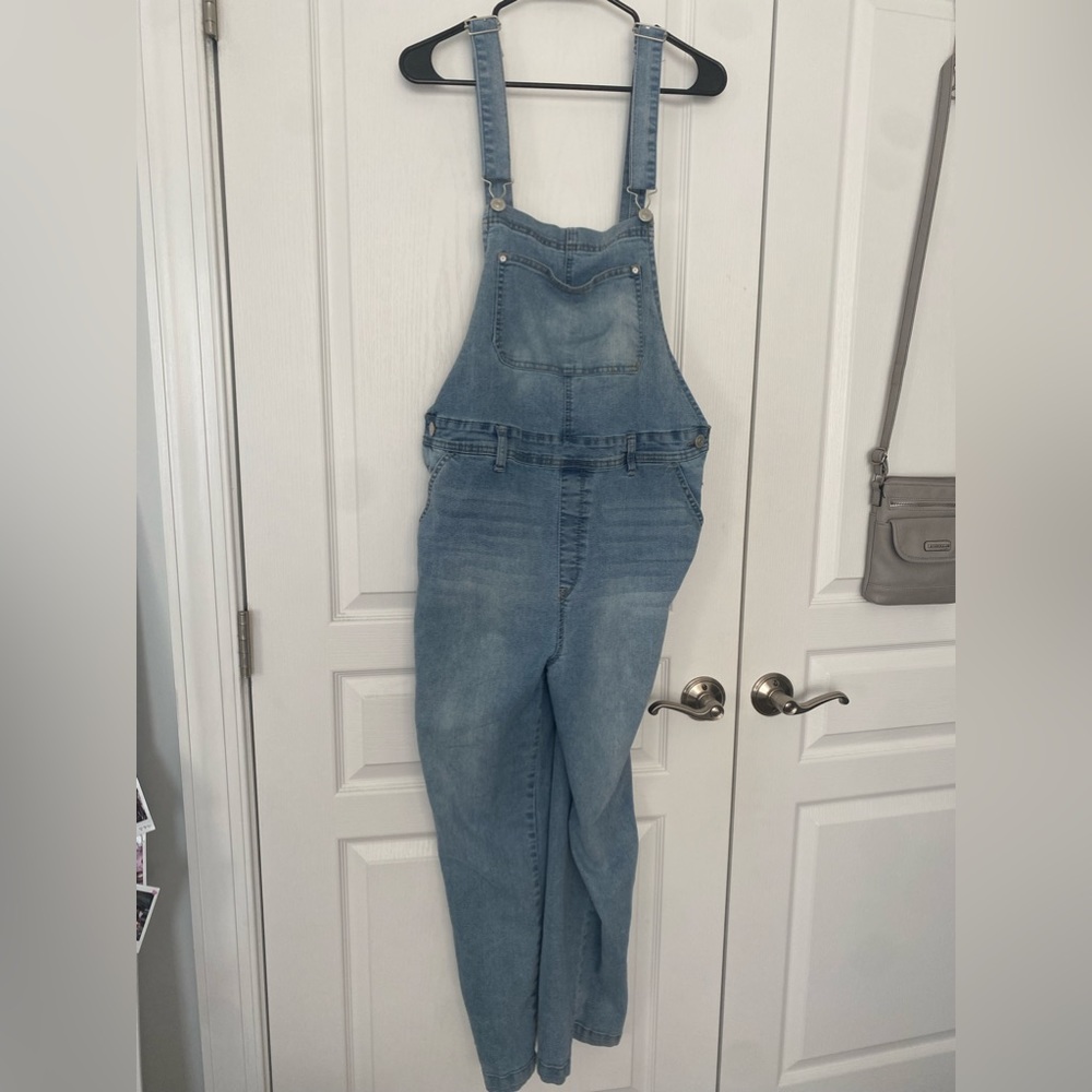 WALLFLOWER LIGHT WASH OVERALLS